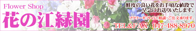 花の江緑園 鮮度の良い花をお手頃な値段で早急にお送りいたします